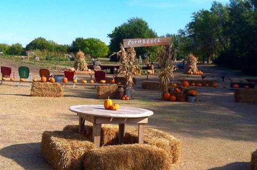 A rustic outdoor scene with hay bales, pumpkins, and a wooden sign reading "Cornstock" under a clear blue sky.