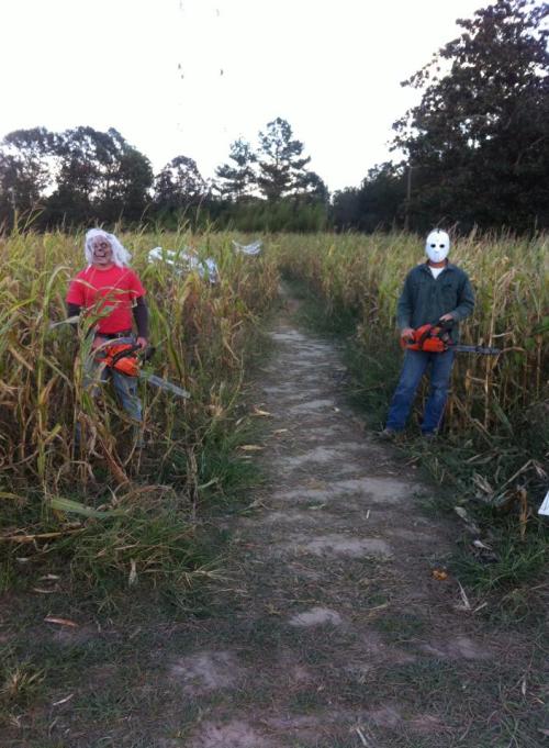 Two figures in masks hold chainsaws, standing in a cornfield with a dirt path between them.