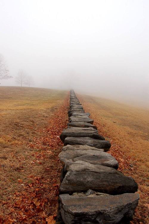 A stone wall stretches into the fog over a grassy, autumn landscape.