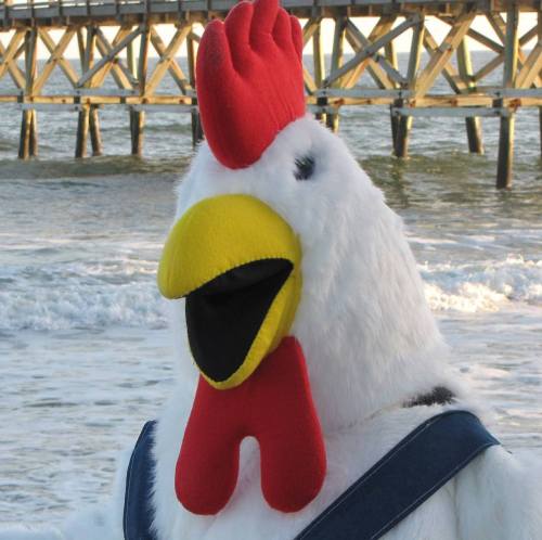 A large chicken mascot stands by the ocean, with a pier in the background and waves crashing nearby.