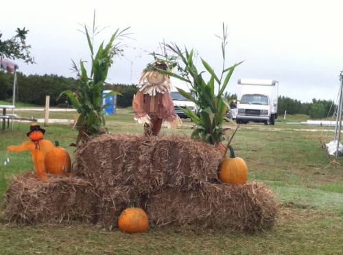 A scarecrow stands on hay bales surrounded by pumpkins in a grassy field, with a vehicle in the background.