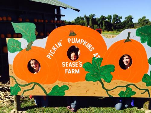Three children peek through a pumpkin-themed cutout at Sease's Farm, surrounded by a pumpkin patch on a sunny day.