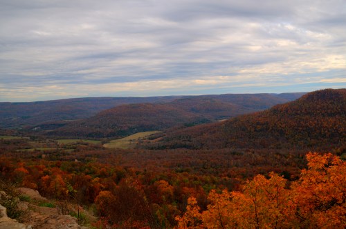A scenic view of rolling hills covered in vibrant autumn foliage under a cloudy sky.