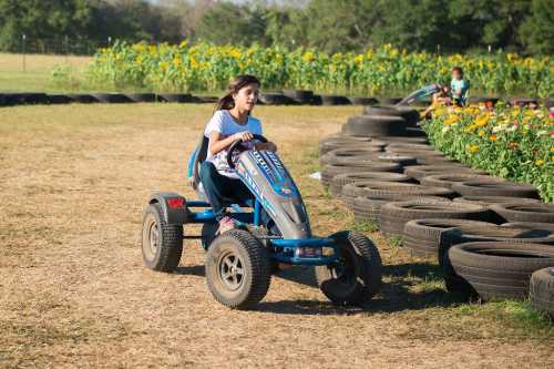 A girl rides a blue go-kart on a dirt track surrounded by sunflowers and tires.