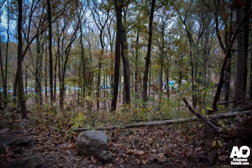 A wooded area with trees and fallen leaves, showing a glimpse of a distant parking area through the foliage.