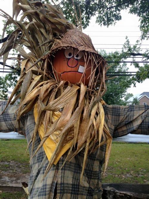 A whimsical scarecrow with a straw hat, colorful face, and plaid shirt stands in a field, surrounded by greenery.