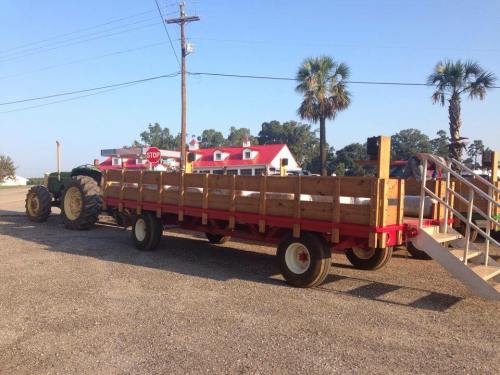 A wooden wagon attached to a tractor, parked on a gravel road with palm trees and a building in the background.
