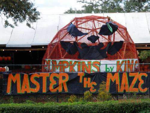 A pumpkin display with a large dome structure, decorated with bats and a sign reading "Master the Maze."