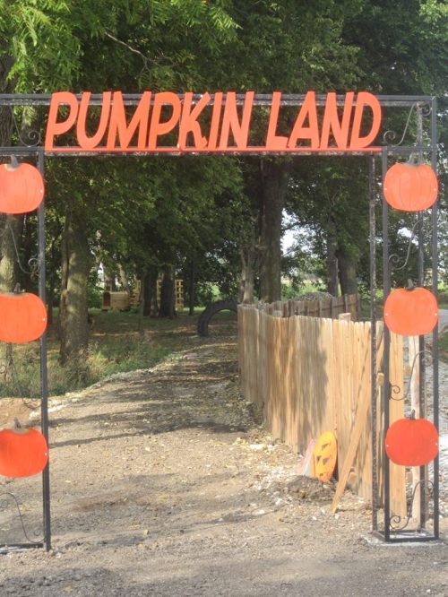 A decorative archway reading "Pumpkin Land" with pumpkins, leading into a tree-lined path.