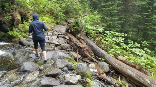 A person in a blue jacket walks along a rocky trail beside a stream, surrounded by lush greenery and fallen logs.