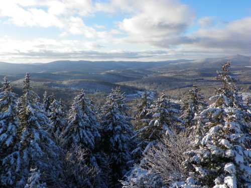 A snowy landscape with evergreen trees in the foreground and rolling hills under a partly cloudy sky.