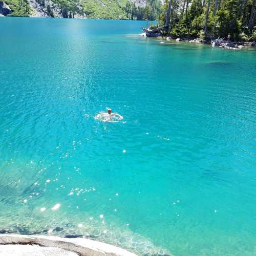 A person swimming in a clear turquoise lake surrounded by lush green trees and rocky shores.