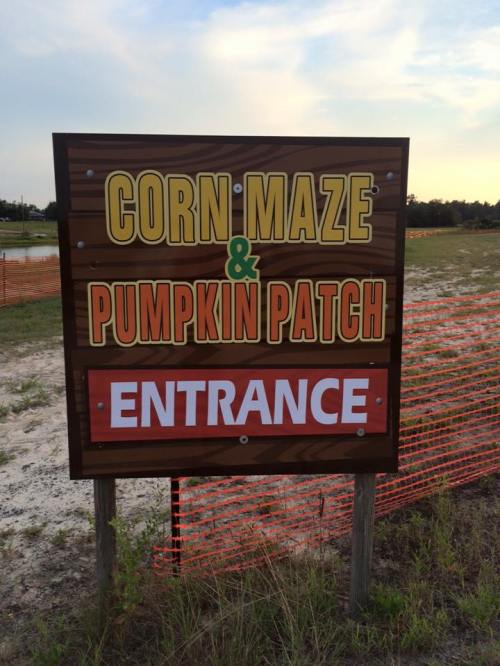 Sign for a corn maze and pumpkin patch entrance, with orange fencing in the background and a clear sky above.