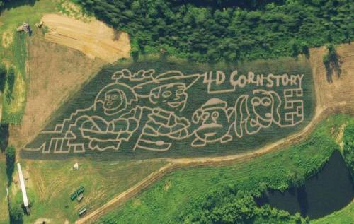 Aerial view of a corn maze featuring characters from "Toy Story" with the text "4D Corn Story" carved into the field.