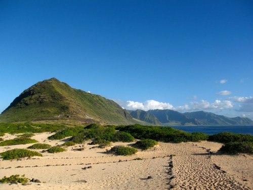 A sandy beach with lush greenery and a mountain in the background under a clear blue sky.