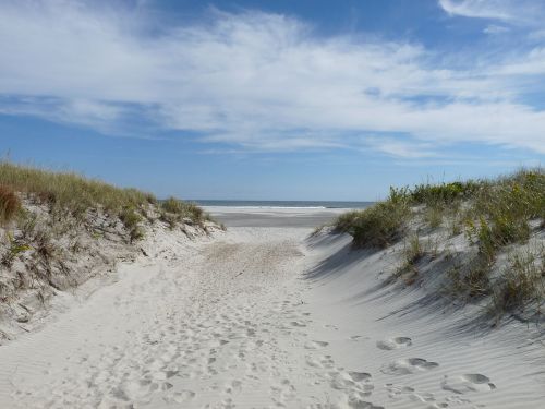 A sandy path between grassy dunes leads to a calm beach under a blue sky with scattered clouds.