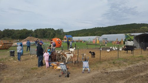 A farm scene with people interacting with animals, including goats, and a large orange structure in the background.