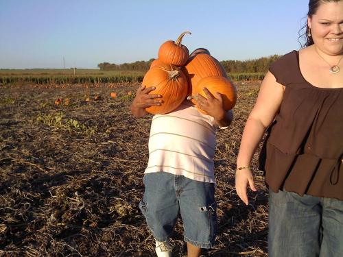 A person carrying multiple pumpkins stands in a field, while a woman walks beside them, smiling.