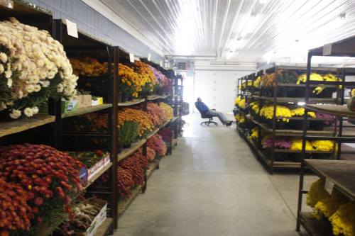 A flower shop aisle filled with colorful blooms on shelves, with a person sitting in a chair at the end of the aisle.