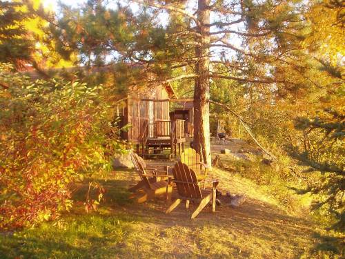 A cozy cabin surrounded by trees and autumn foliage, with two wooden chairs in the foreground.