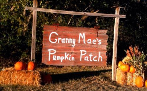 Sign for "Granny Mae's Pumpkin Patch" with pumpkins and hay bales in a rustic outdoor setting.