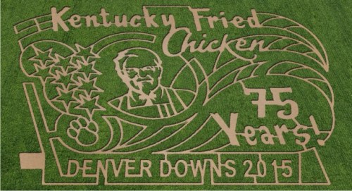 A grass carving celebrating 75 years of Kentucky Fried Chicken, featuring a portrait and text in a decorative design.