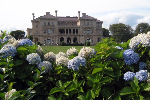 A grand mansion with a landscaped lawn, framed by blooming blue and white hydrangeas in the foreground.