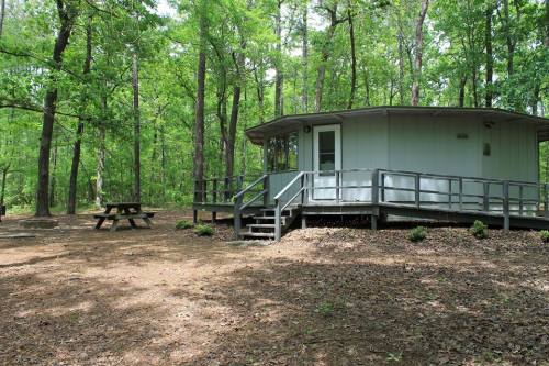A round, modern cabin surrounded by trees, with a picnic table nearby on a leaf-covered ground.