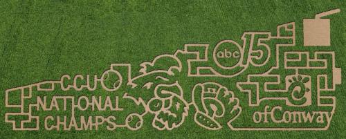 A grassy design featuring "CCU National Champs," "2015," and "ABC 15 of Conway" in a playful, maze-like layout.