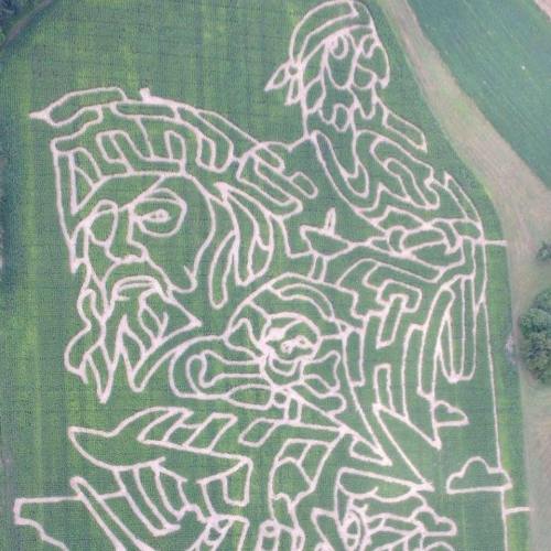Aerial view of a corn maze featuring intricate designs of three faces and various shapes in green fields.