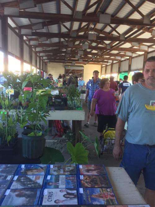 A bustling market scene with people browsing plants and DVDs in a spacious indoor setting.