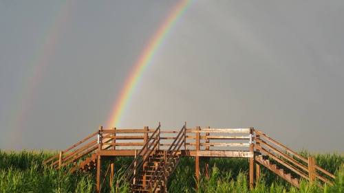A wooden viewing platform in a green field under a bright sky with a double rainbow in the background.