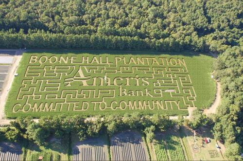 Aerial view of a corn maze at Boone Hall Plantation, featuring the words "Amherst Bank" and "Committed to Community."