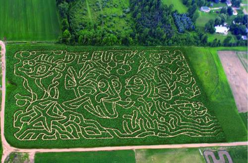Aerial view of a corn maze featuring cartoon characters and playful designs in a green field.