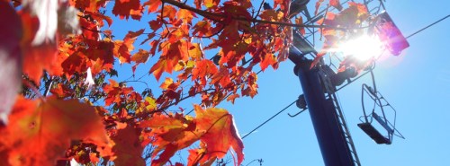 Bright autumn leaves in shades of red and orange, with a ski lift and blue sky in the background.