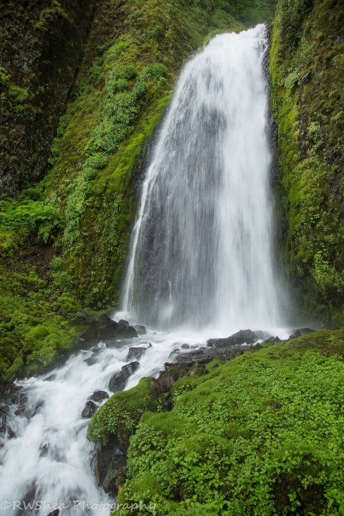 A lush green landscape featuring a cascading waterfall surrounded by moss and rocks.