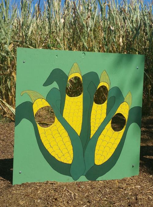 A colorful corn-themed photo cutout with four ears of corn, set against a backdrop of tall corn plants.