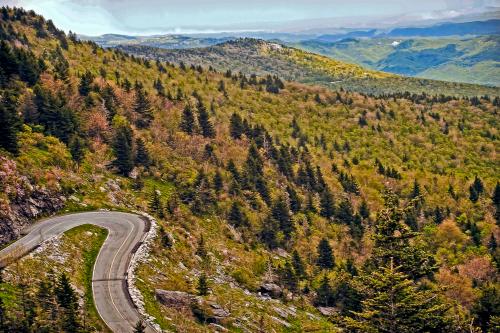 Winding road through lush green mountains, with a scenic view of rolling hills and trees under a clear sky.