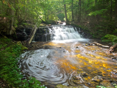 A serene waterfall cascades over rocks in a lush green forest, with swirling water reflecting warm tones.