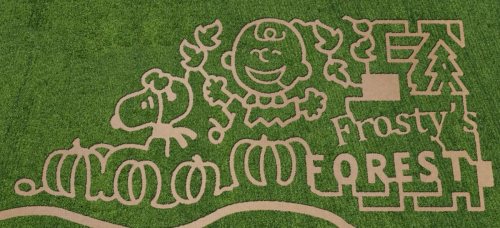 A grassy design featuring a smiling gingerbread man, Snoopy, and pumpkins, labeled "Frosty's Forest."