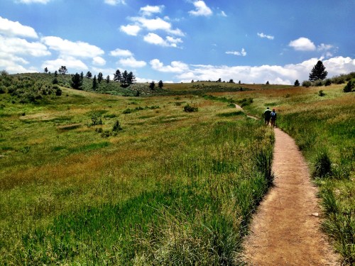 A winding dirt path through a grassy field under a blue sky with fluffy clouds, with two people walking in the distance.
