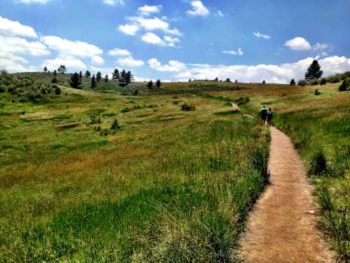 A winding dirt path through a grassy field under a blue sky with fluffy clouds, with two people walking in the distance.