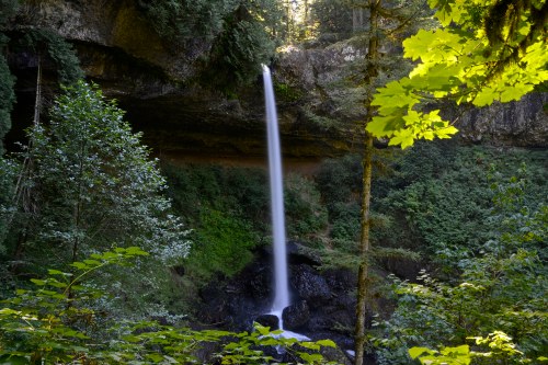 A serene waterfall cascades down rocky cliffs, surrounded by lush green trees and foliage in a tranquil forest setting.
