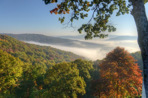 A scenic view of misty mountains and colorful autumn trees under a clear blue sky.