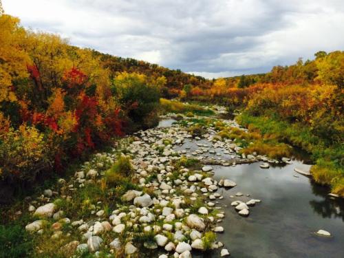 A serene river flows through a landscape of vibrant autumn foliage and scattered rocks under a cloudy sky.