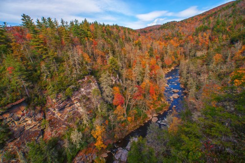 A scenic view of a river winding through a vibrant autumn forest with colorful foliage and rocky banks.