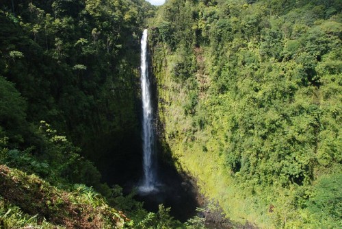 A tall waterfall cascades down a lush green cliff surrounded by dense tropical forest.