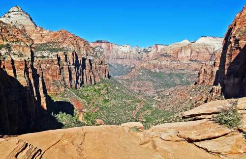 A panoramic view of Zion National Park, showcasing red rock formations and a lush green valley under a clear blue sky.