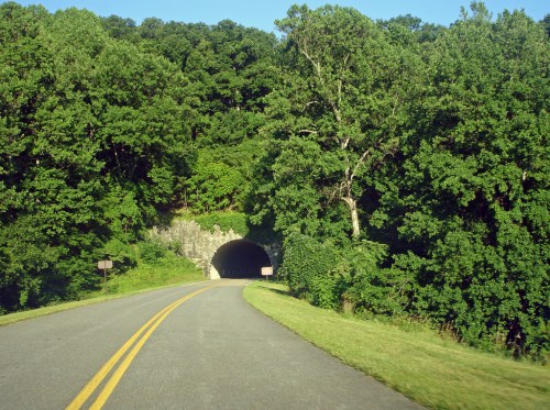 A winding road leads to a dark tunnel surrounded by lush green trees.