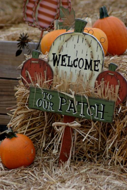 A wooden sign reading "Welcome to Our Patch" surrounded by pumpkins and hay bales.
